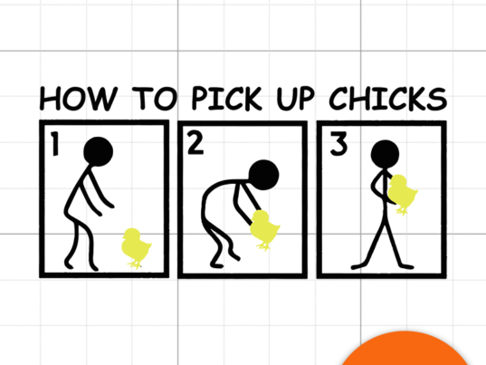 1 How to pick up chicks