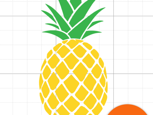 1 Pineapple