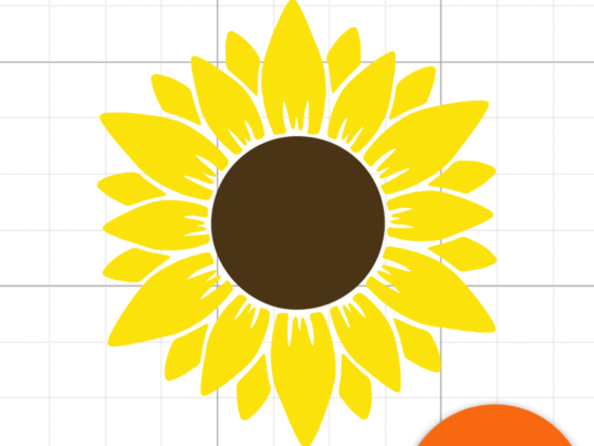 1 Sunflower 2