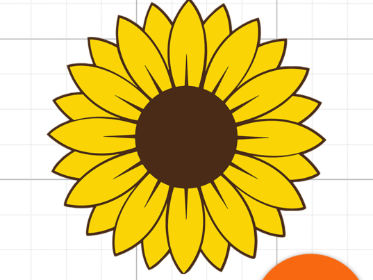 1 Sunflower